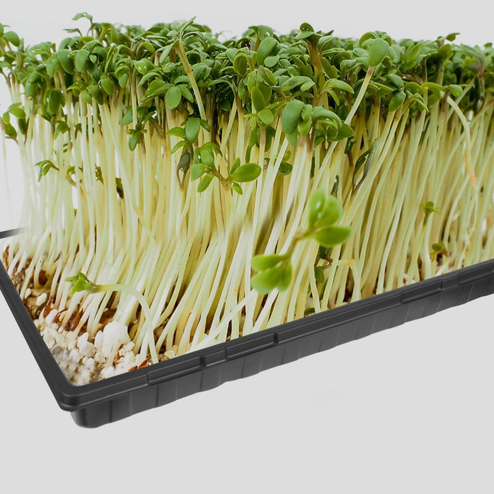 2pcs Plant Growing Plastic Growing Trays Germination Starter Tray for Greenhouse