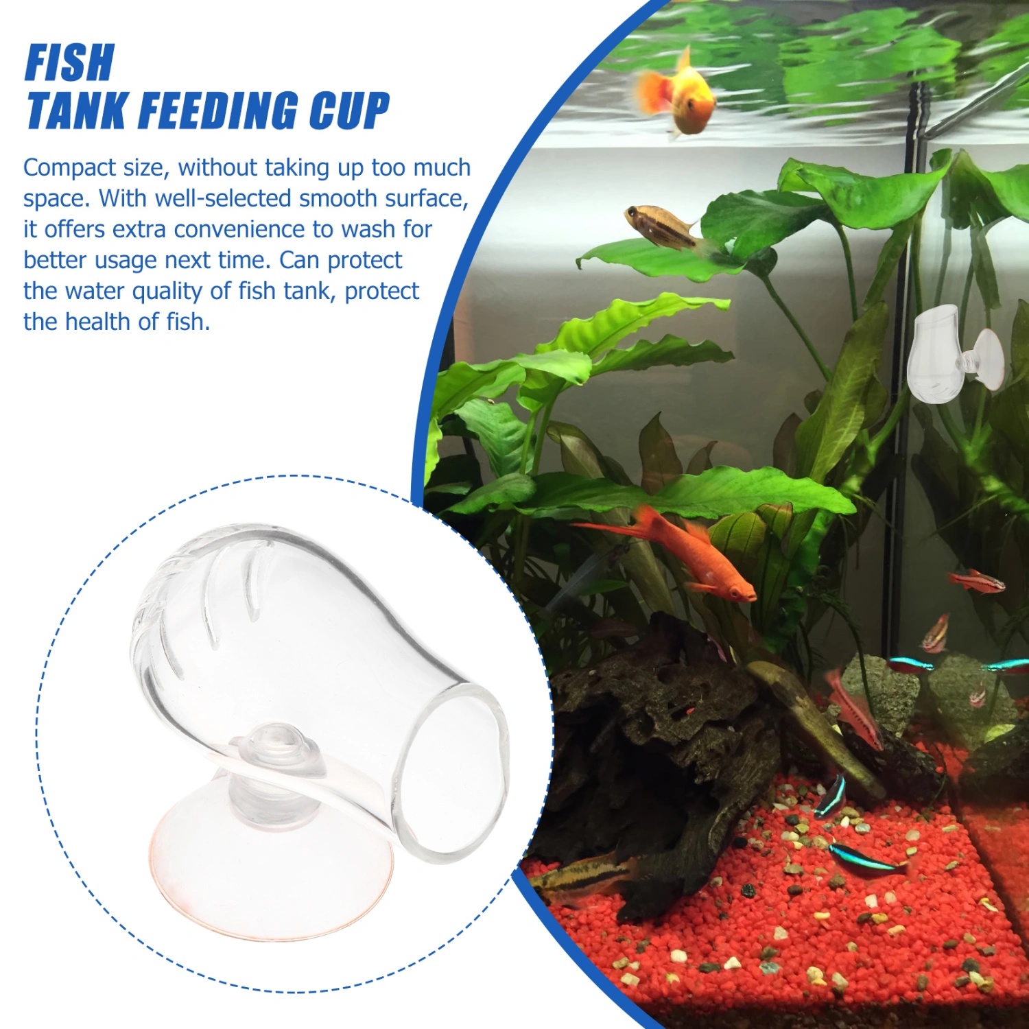 Fish Tank Glass Feeder Bait Red Bug Aquarium Feeder Aquarium Food Feeding Cup