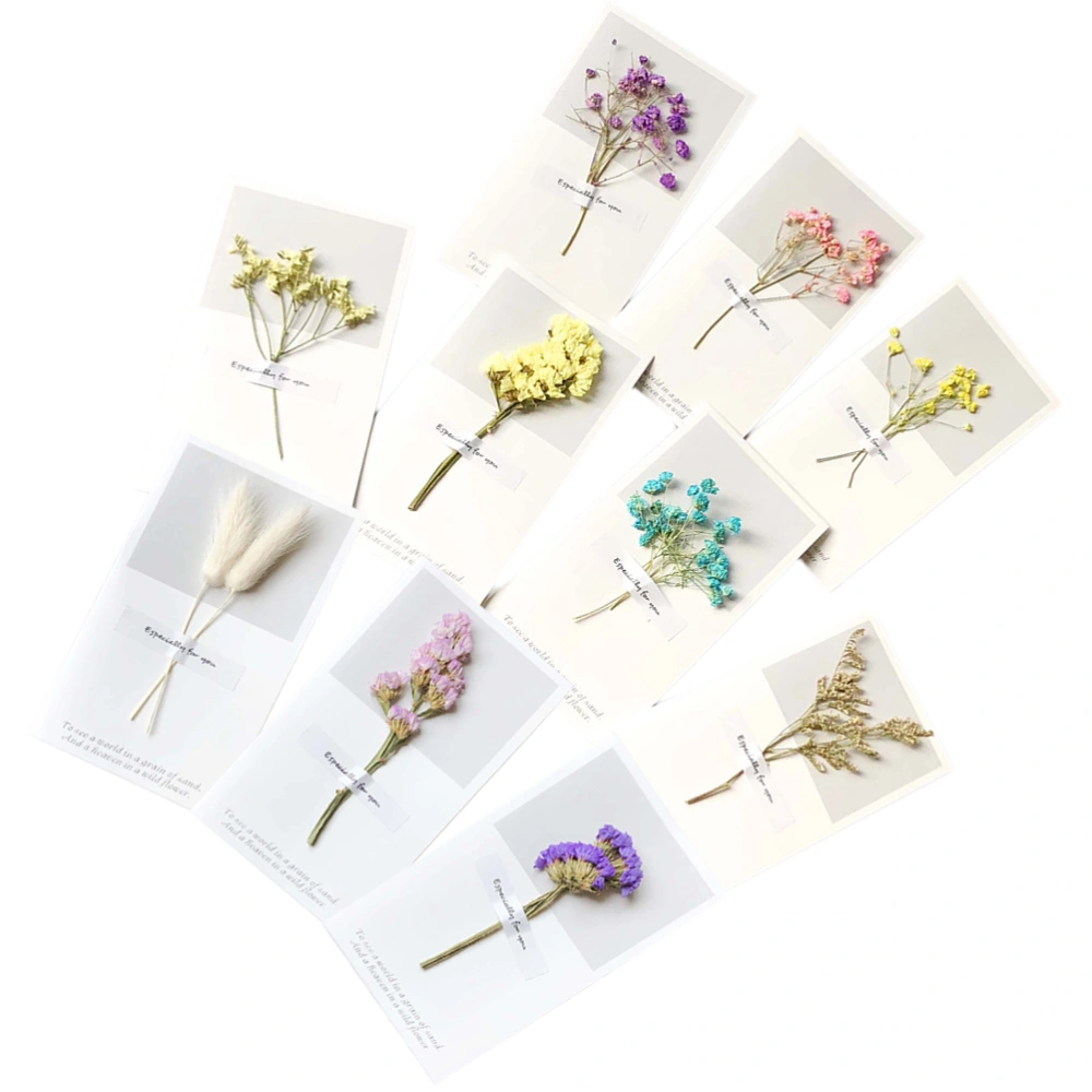 10pcs Creative Dried Flowers Greeting for Thanksgiving Birthday Valentine's Day Christmas Holiday