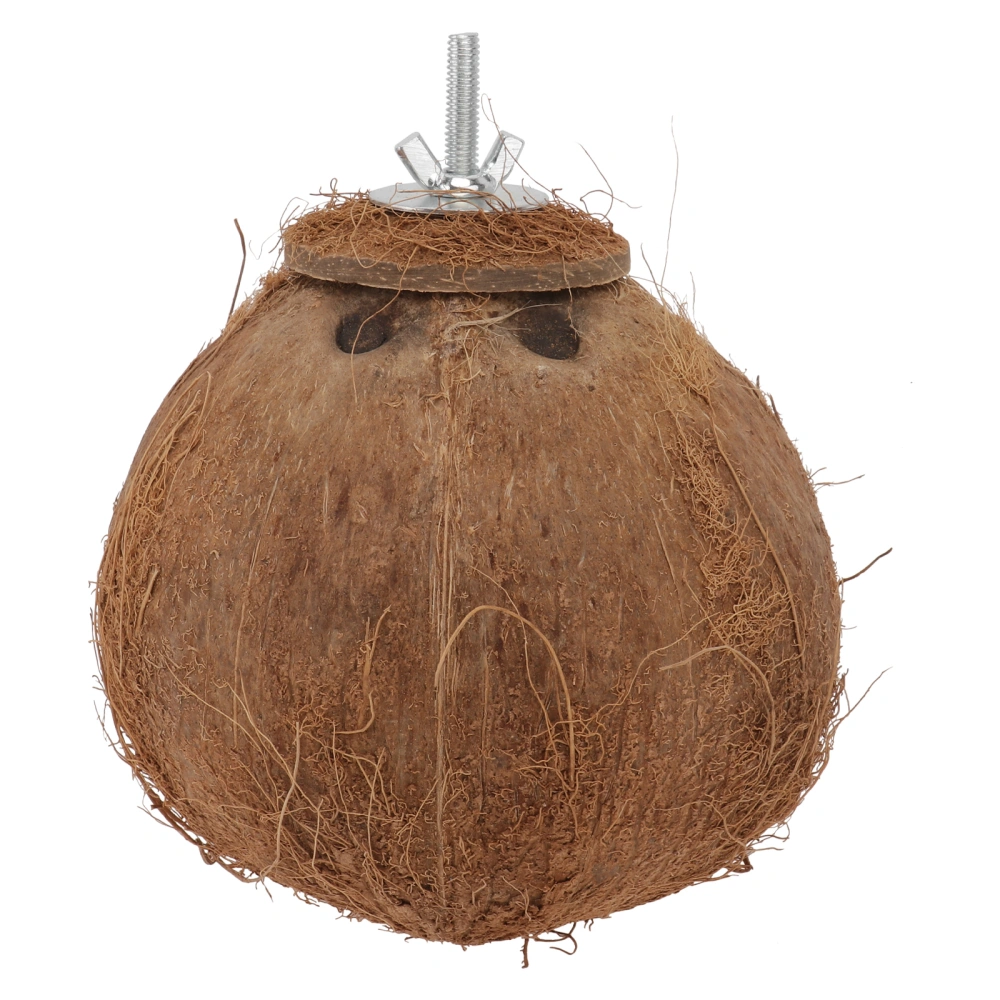 1PC Coconut Shell Birds Nest Parrot Birds Nest Toy Pet Parrot Biting Plaything