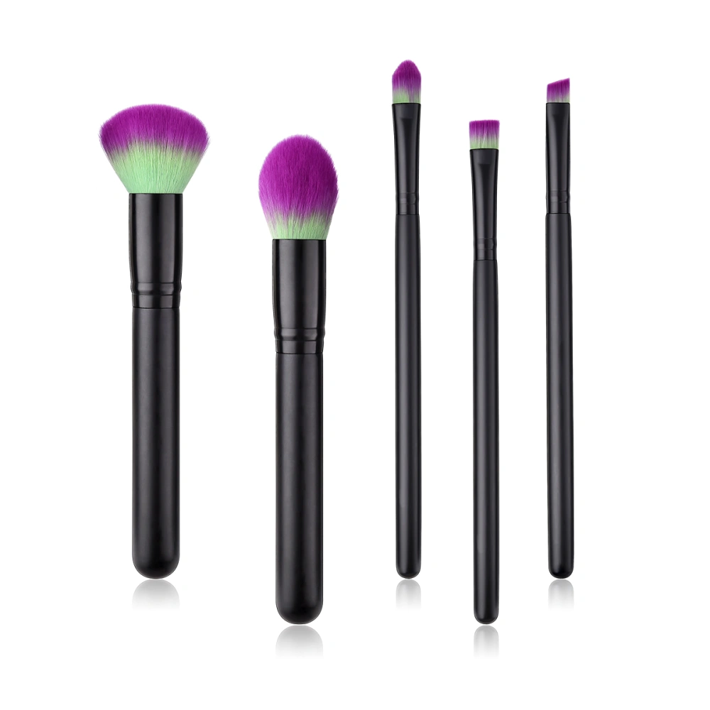 5 Pcs Premium Nylon Hair Makeup Brush Cosmetics Powder Blush Brush for Women Girls (T-5-051)