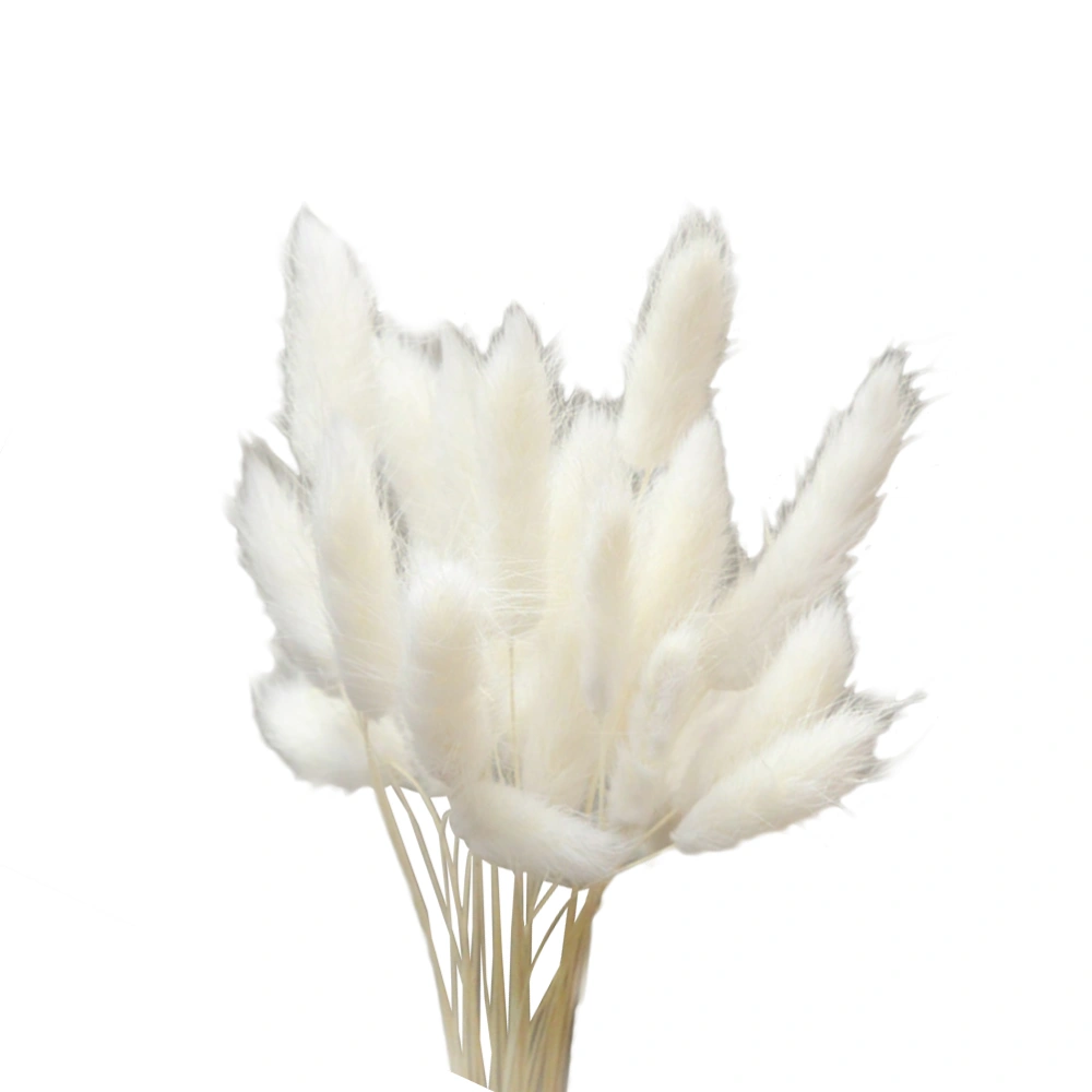 20pcs Natural Dried Flowers Colorful Lagurus Ovatus Real Flower Bouquet for Home Wedding Decoration Rabbit Tail Grass Bunch(White)