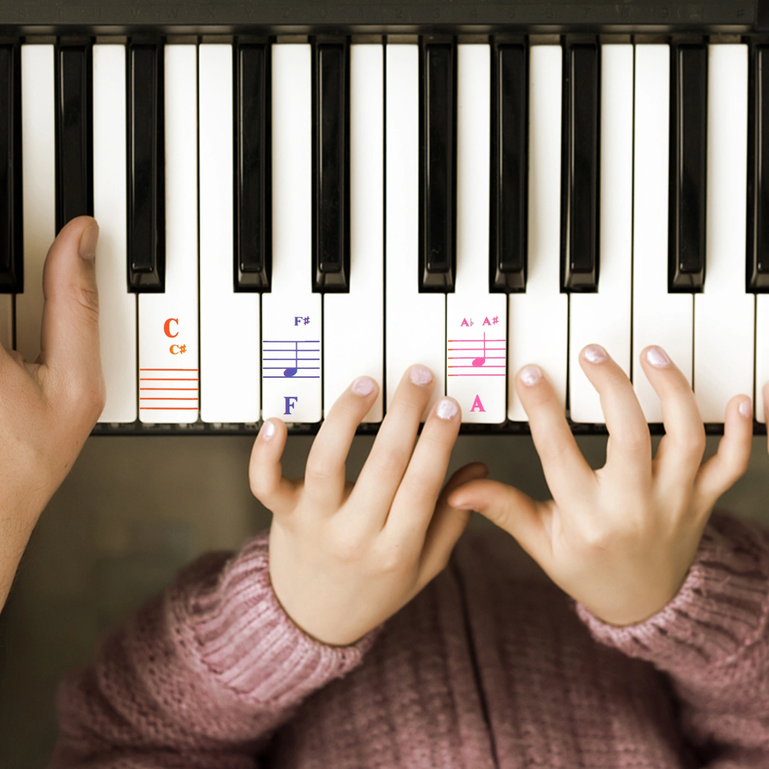 1Set Beginner Piano Introductory Stickers Adhesive Piano Keyboard Stickers
