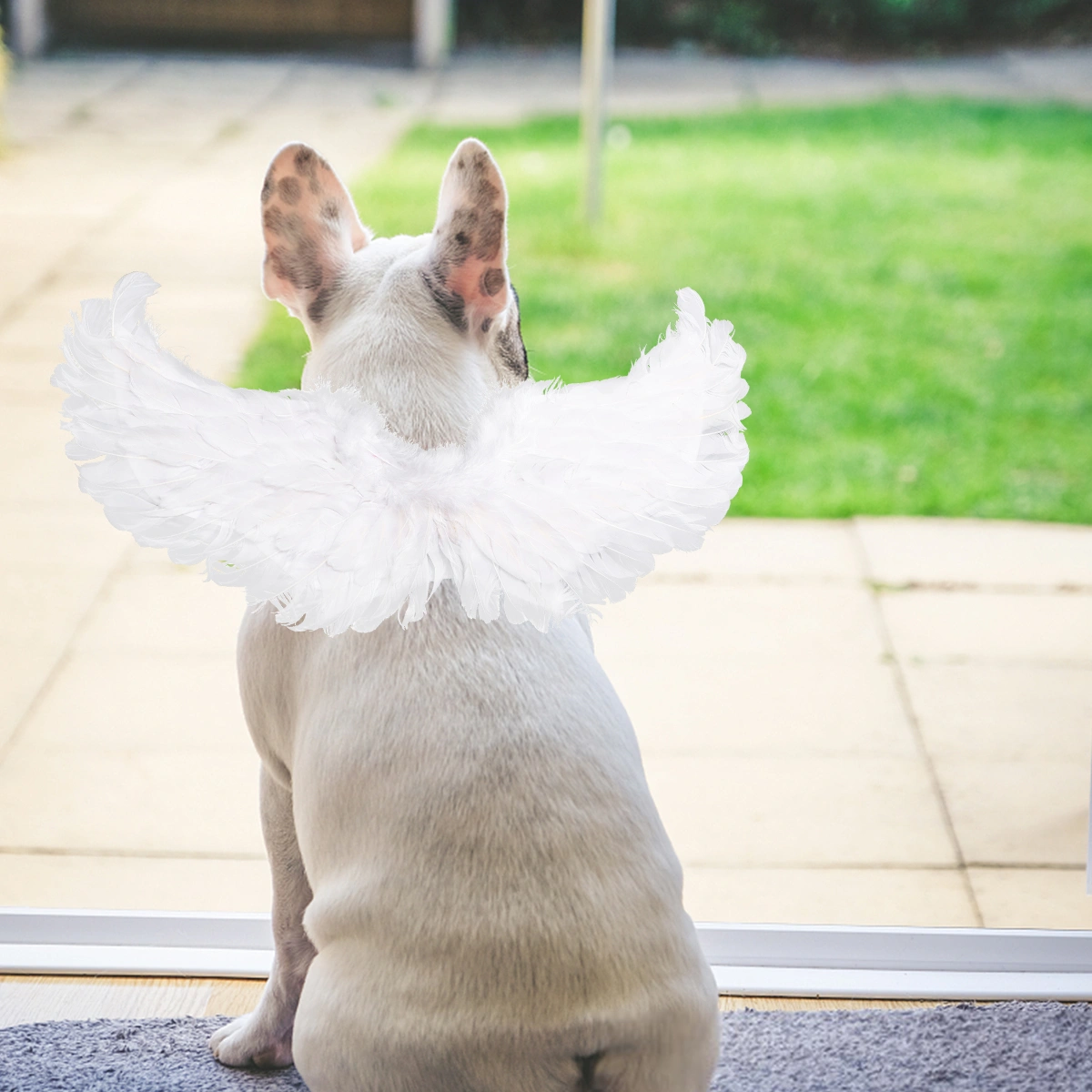 Pet Dog Devil Angel Wing Simulation Wing Pet Halloween Costume Accessories