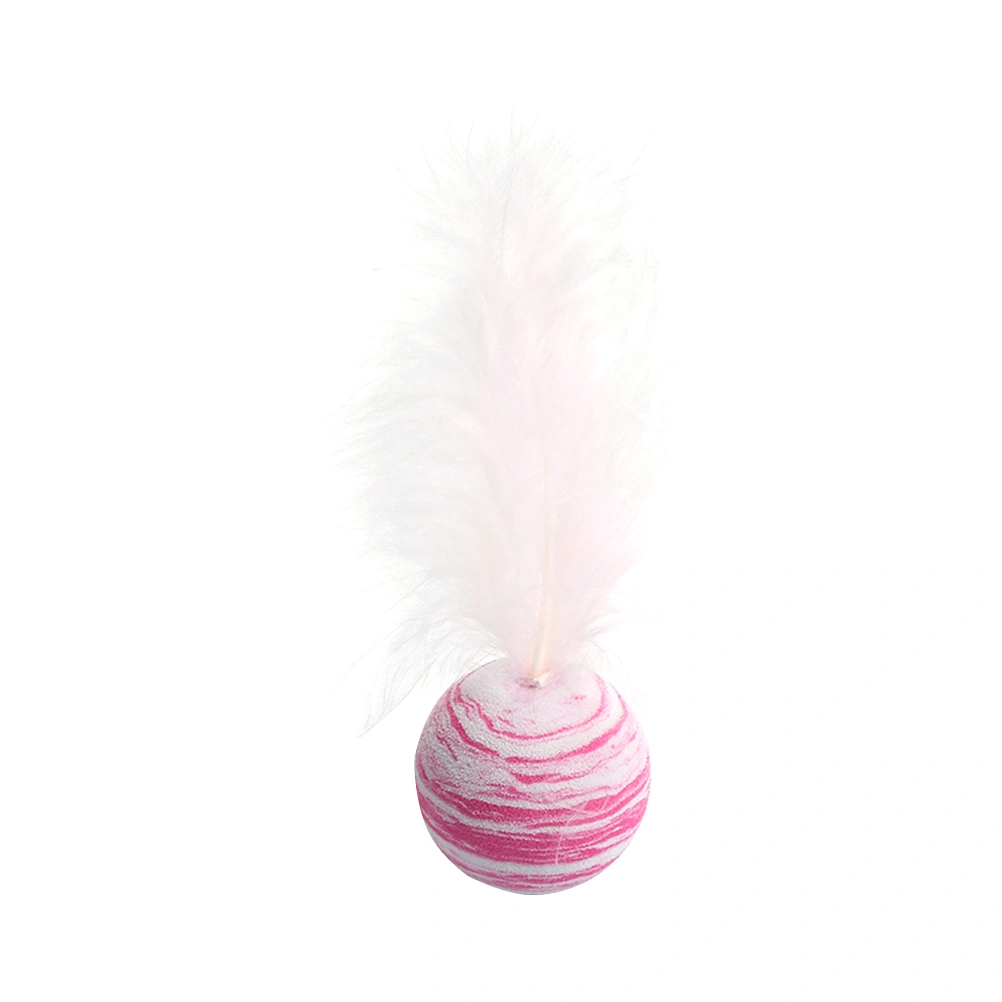 5pcs Pet Supplies Cat Plaything Cat Toy Supplies Feather Star Ball Cat Biting Toy for Kitten Playing (Random Color)
