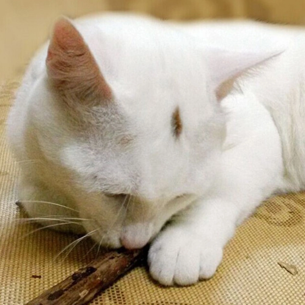 Cat Cleaning Teeth Pure Natural Catnip Stick Cat Snacks Sticks(2 bags packaging, 5pcs/bags)