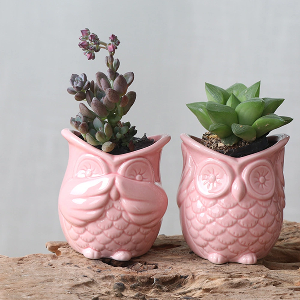 Owl Design Succulent Pot Gardening Creative Green Plant Ceramic Pot Container for Home Not Hearing Owl (Pink)