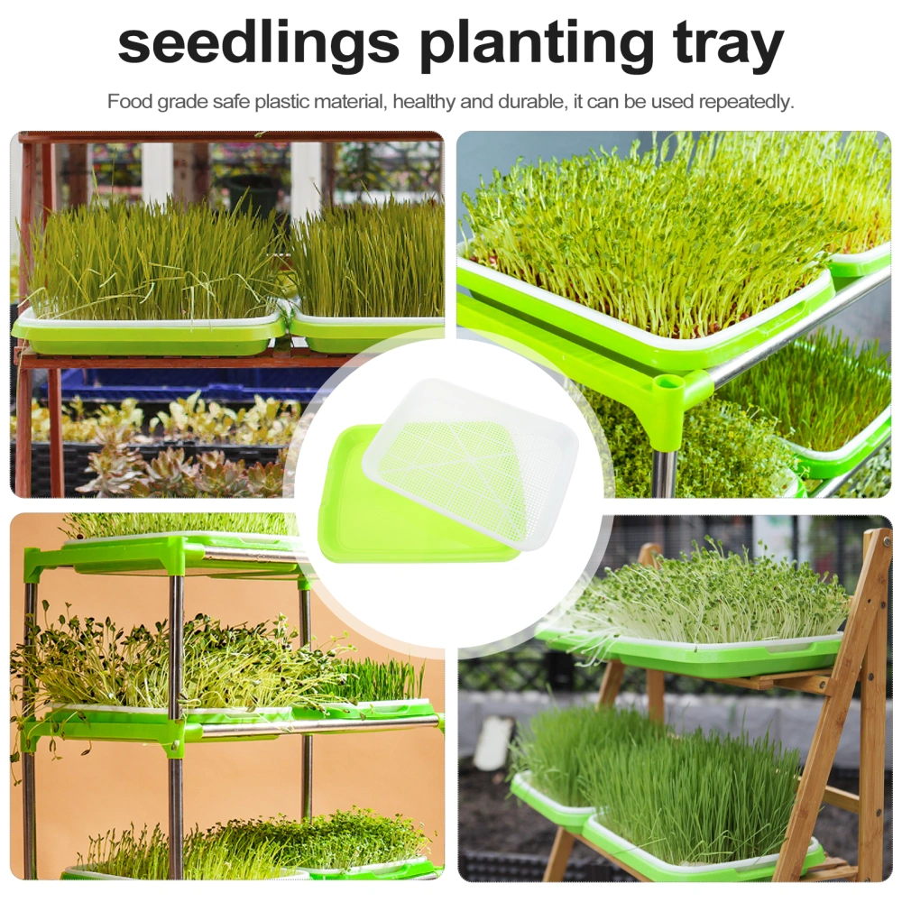 2 Sets Sprout Vegetable Seedlings Tray Wheatgrass Double-layer Seedlings Box