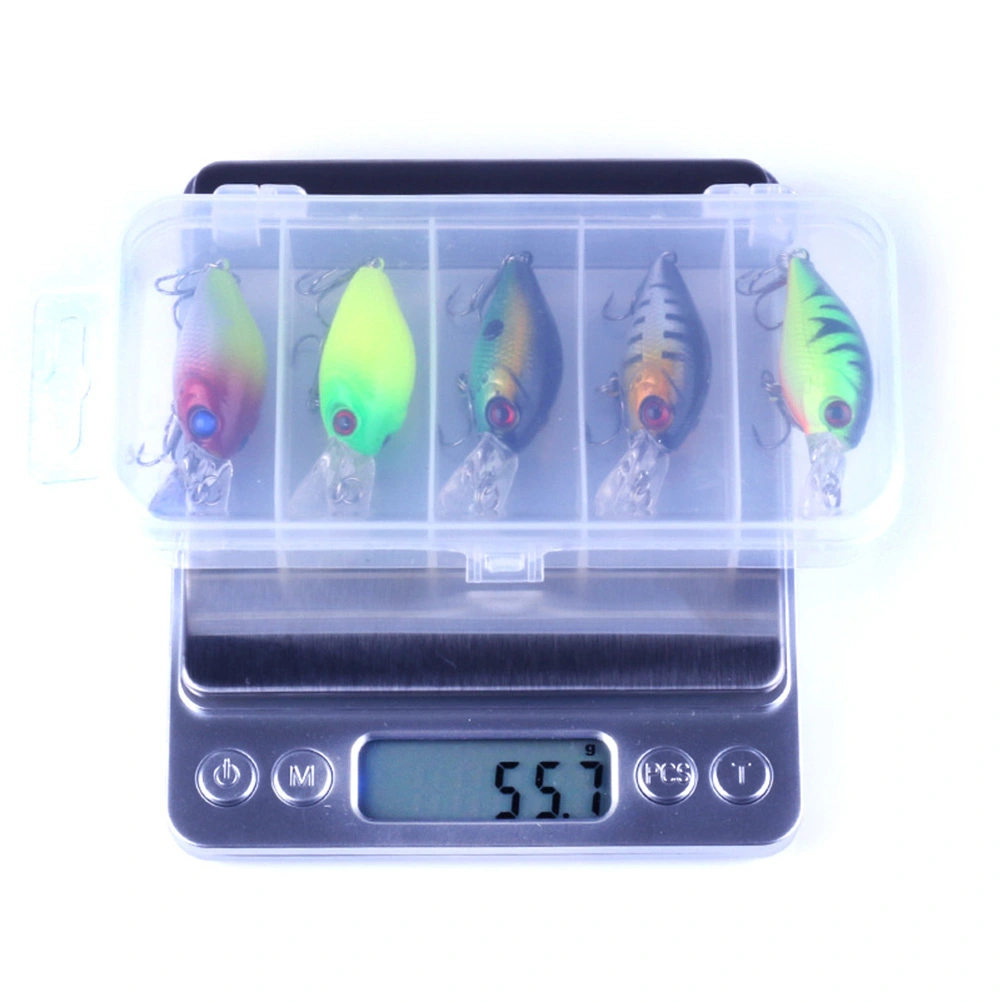 5pcs Simulation Fishing Grub Fishing Lures Fishing Baits with Carrying Box for Fishing