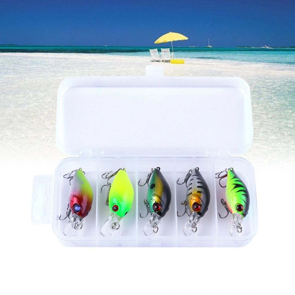 5pcs Simulation Fishing Grub Fishing Lures Fishing Baits with Carrying Box for Fishing