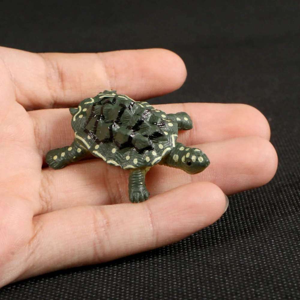 12PCS/Set Artificial Turtle Model Simulation Wildlife Figurine Desktop Decoration Educational Toy