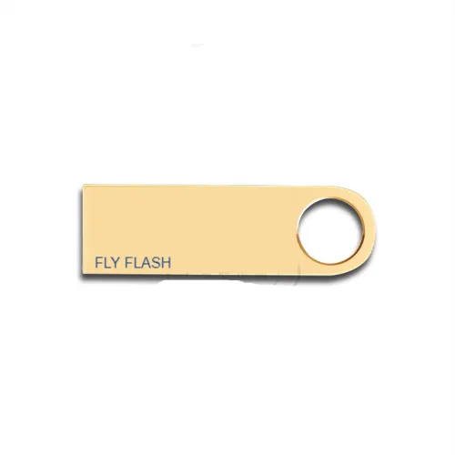 Fly Flash 32 GB