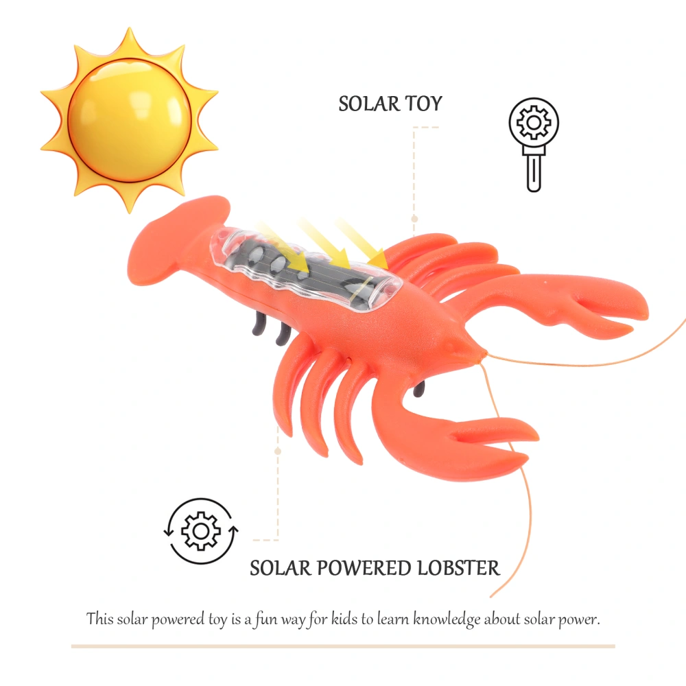 Solar Powered Lobster Educational Kid Toy Gift Early Learning Science Experiment Toy