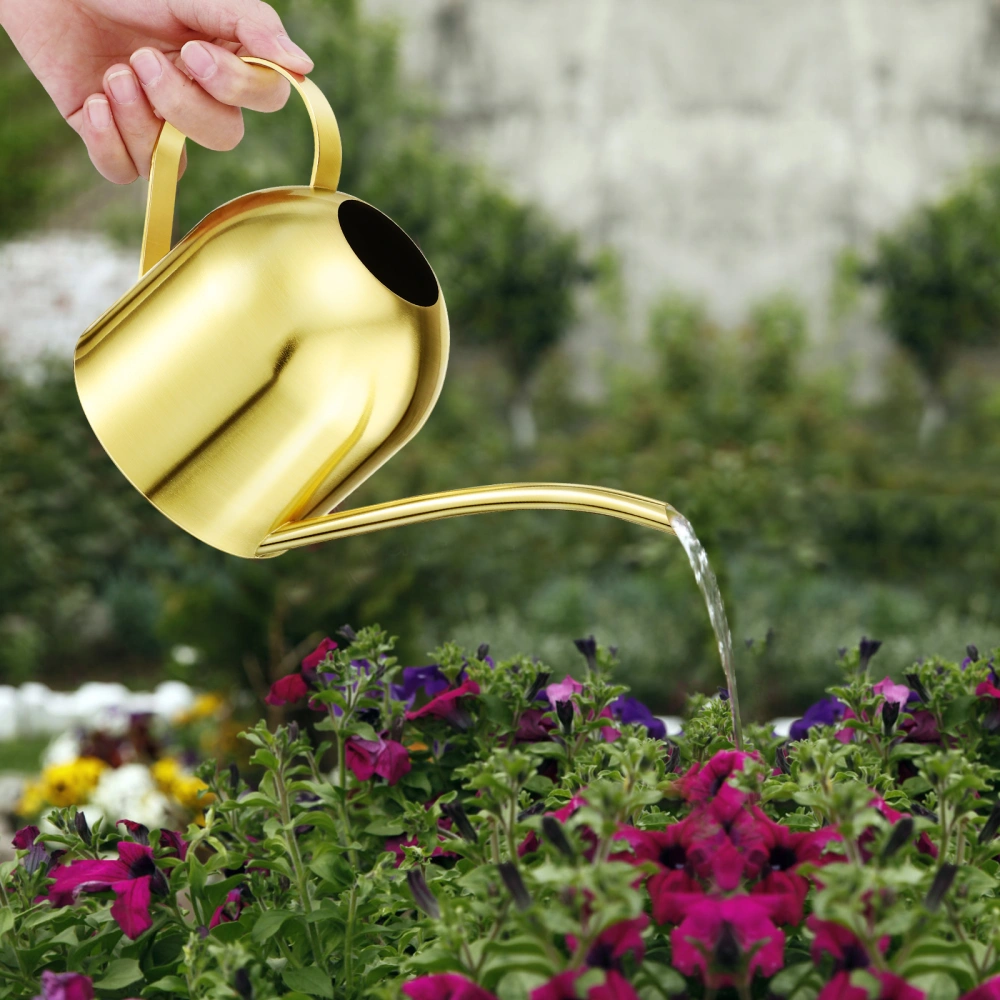 Yardwe Stainless Steel Watering Can Flowers Plants Watering Pot Gardening House Plants Watering Can for Indoor Outdoor