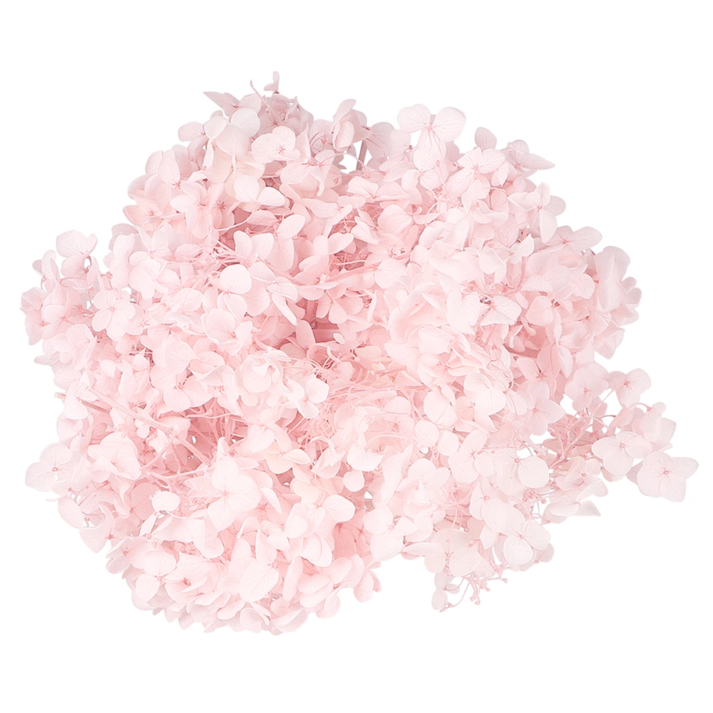 1 Pack of 20g Natural Fresh Preserved Flowers Eternal Dried Hydrangea Petals DIY Ornaments (Light Pink)