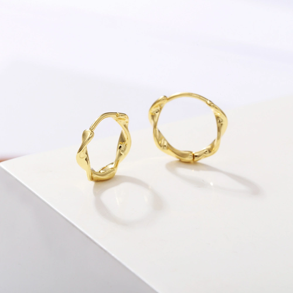 1 Pair Hoops Earrings Twisted Earring Stud Earring Chic Ear Accessories for Women