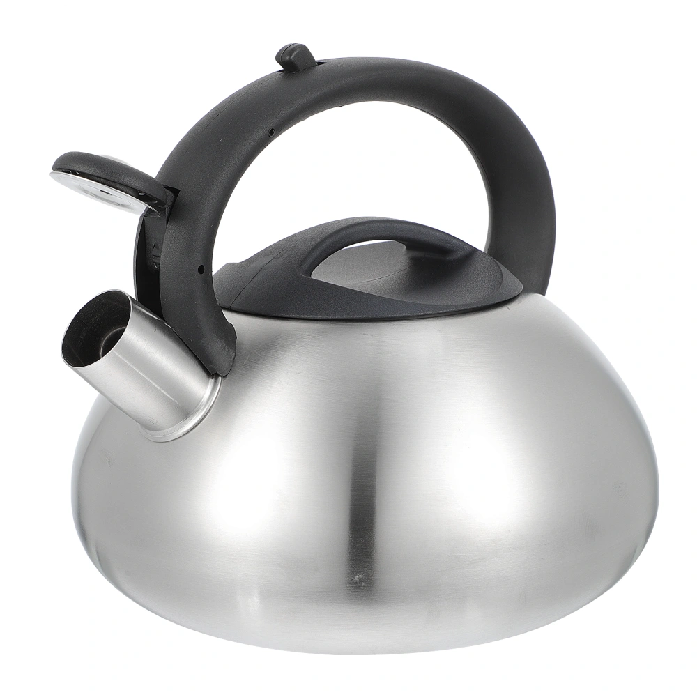 1pc Stainless Steel Whistle Teakettle Household Water Boiling Kettle (Silver)