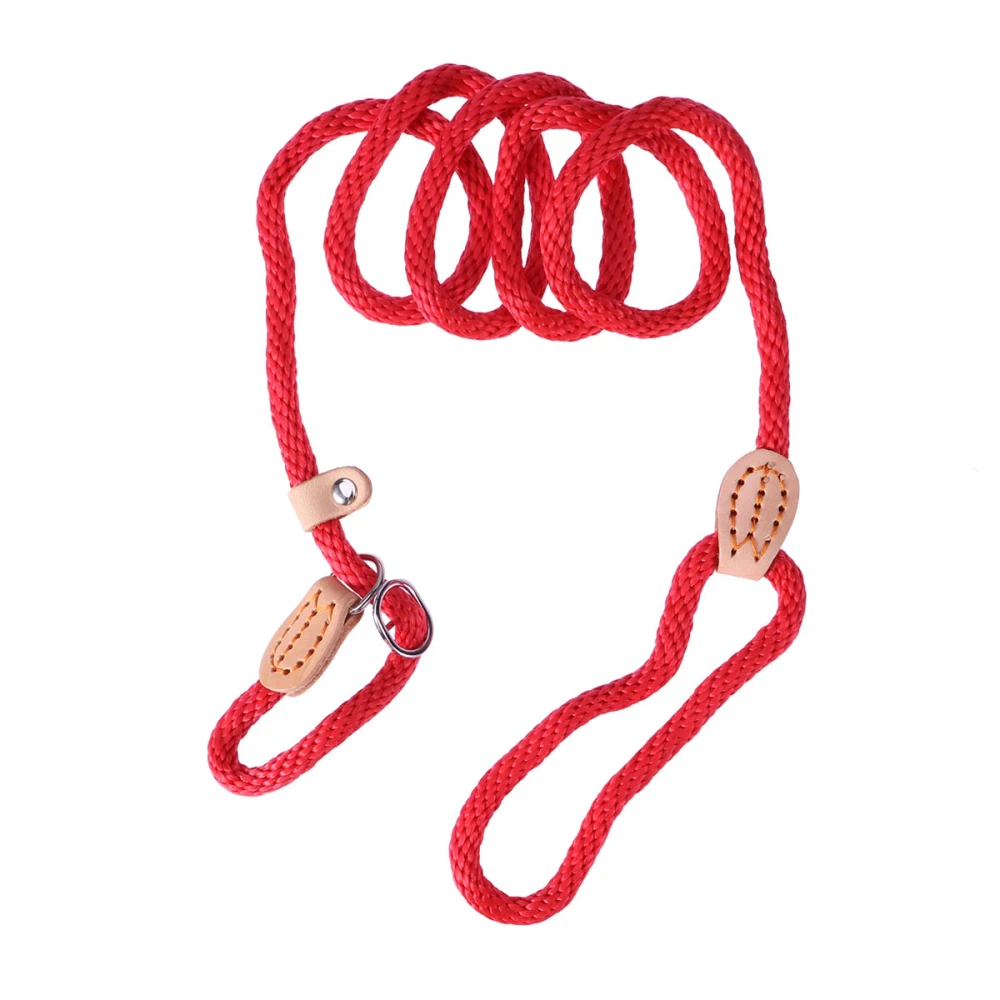 Nylon Dog Training Leash Collar Lead Rope for Pets Training (Red)