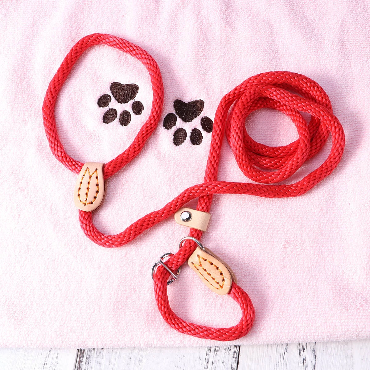 Nylon Dog Training Leash Collar Lead Rope for Pets Training (Red)