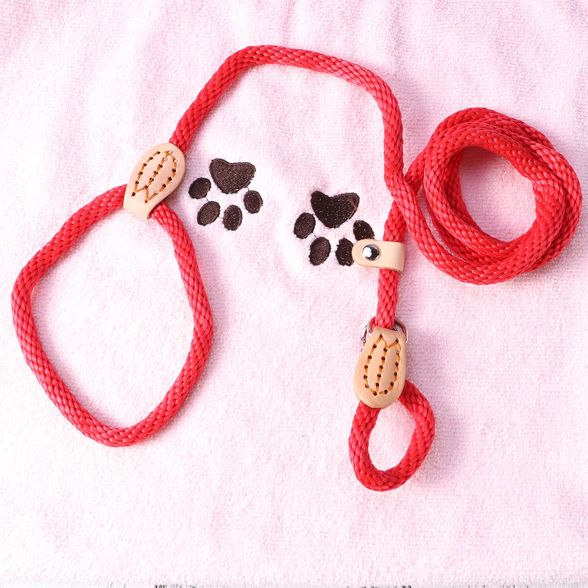 Nylon Dog Training Leash Collar Lead Rope for Pets Training (Red)
