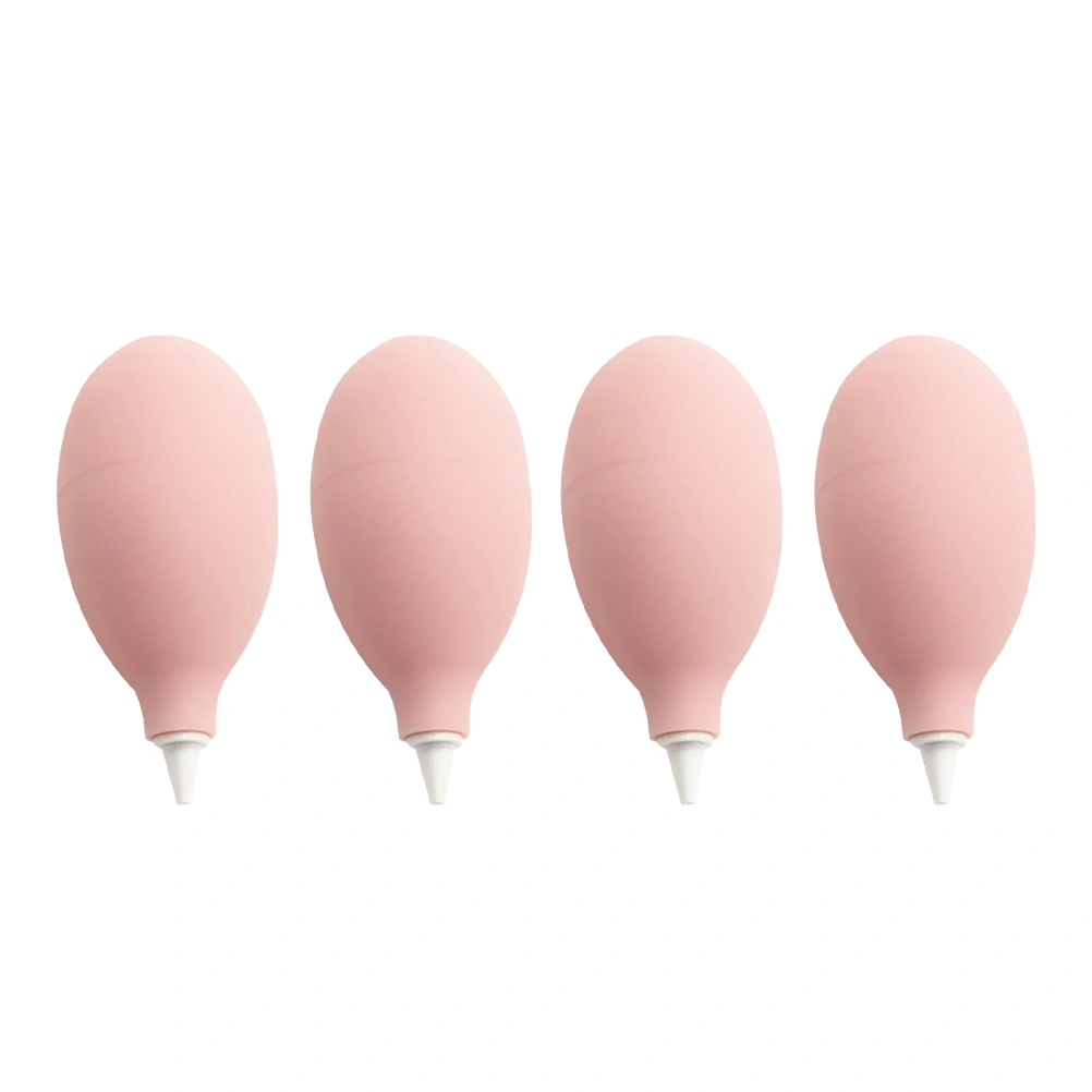 4pcs Camera Cleaning Blowing Ball Succulent Plant Dust Blower Squeeze Suction Bulb (Pink)