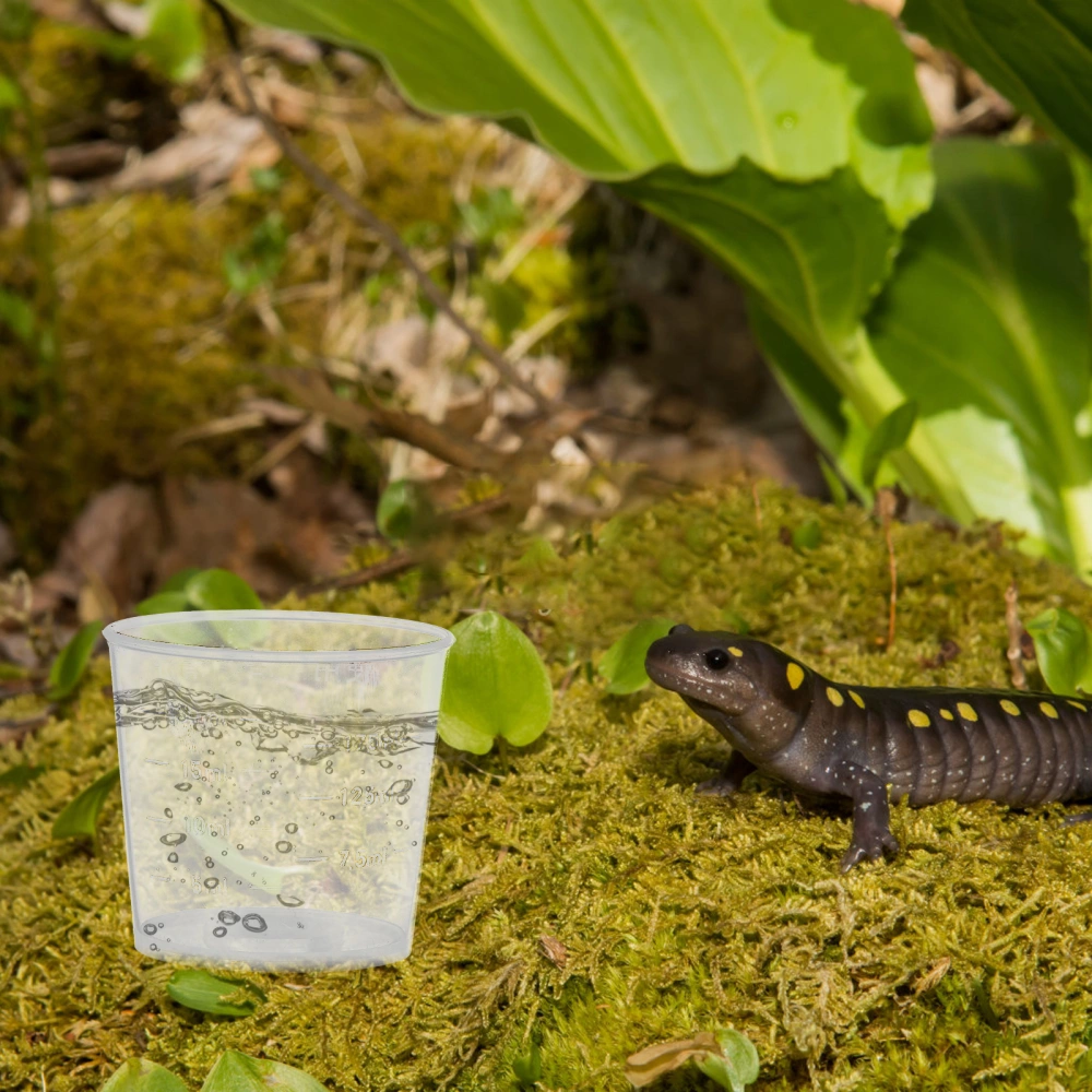 20Pcs 20ml Pet Lizard Gecko Feeding Dish Reptile Water and Food Measuring Cup