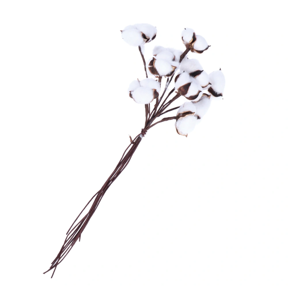 10 Pcs Kapok Bouquet Rural Countryside Eternal Life Cotton Branch Interior Decoration Wedding Dried Flowers Shoot Prop (White)