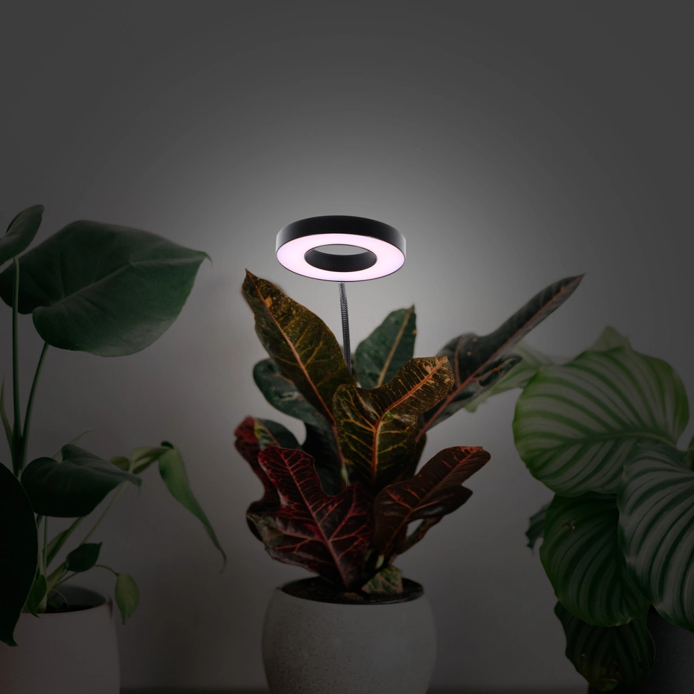 Grow Light Indoor Plants Light Adjustable Auto Timer Plants Growing Light (Ring-Telescopic Tube with Stake)