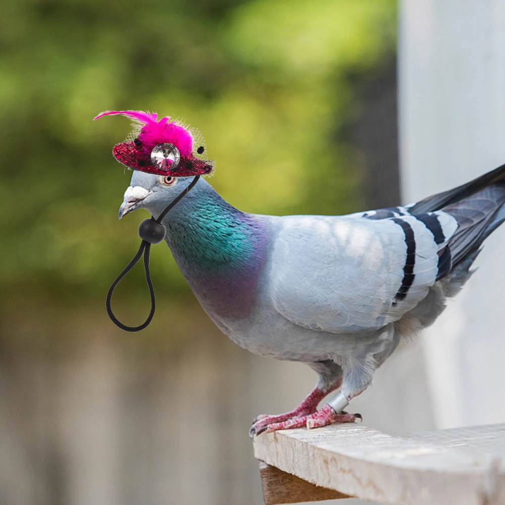 6Pcs Decorative Hen Hats Wear-resistant Bird Hats Interesting Parrot Hats Chicken Accessory