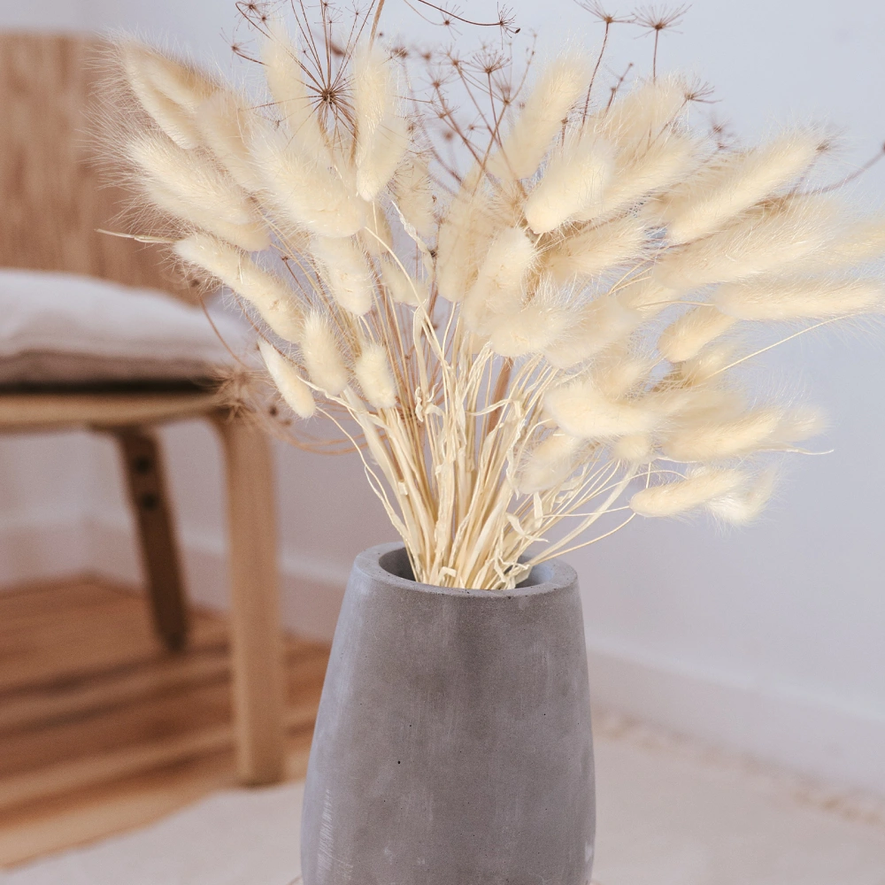 50Pcs Natural Dried Rabbit Tail Grass Decorative Bunny Tail Pampas Grass for Party