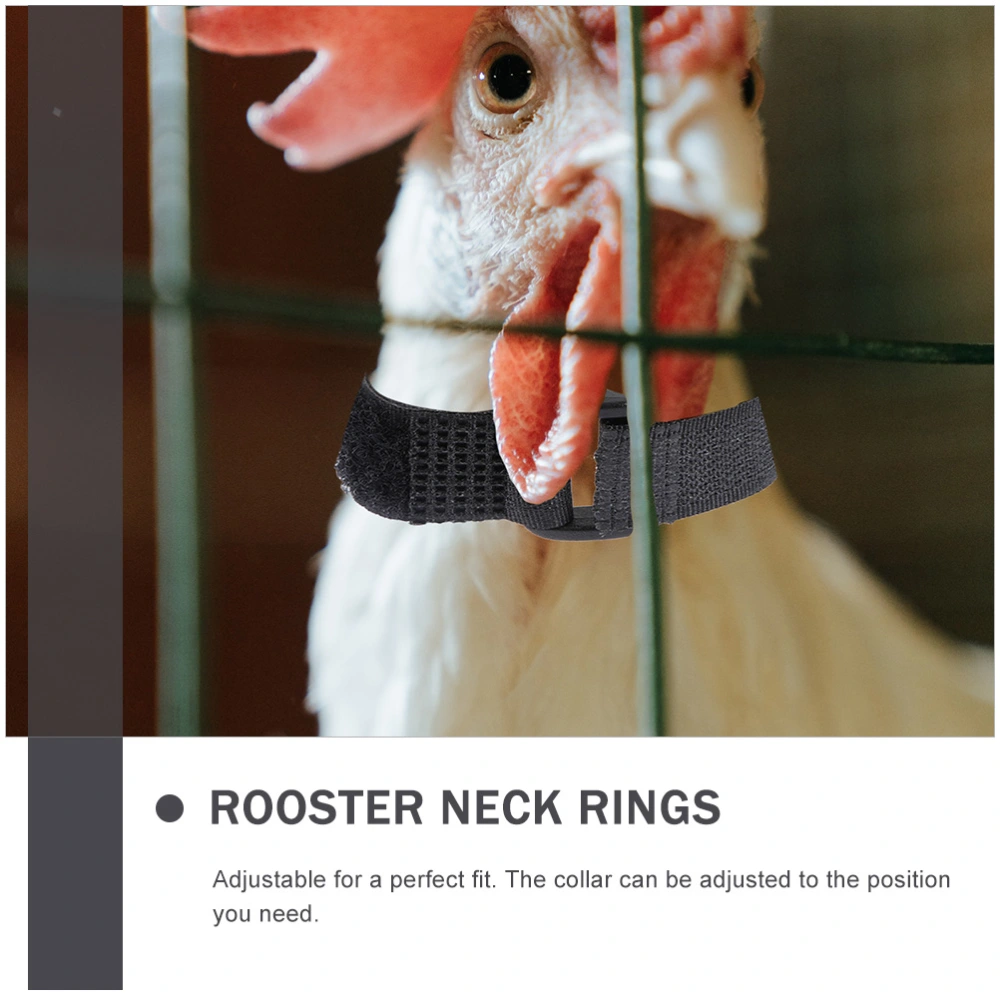 4pcs Rooster Neck Belts Rooster Anti-crowing Collars Poultry Collars for Farm