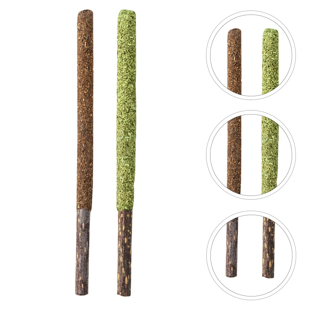 2Pcs Cat Licking Sticks Catnip Sticks Insect Gall Fruit Sticks Cat Snacks