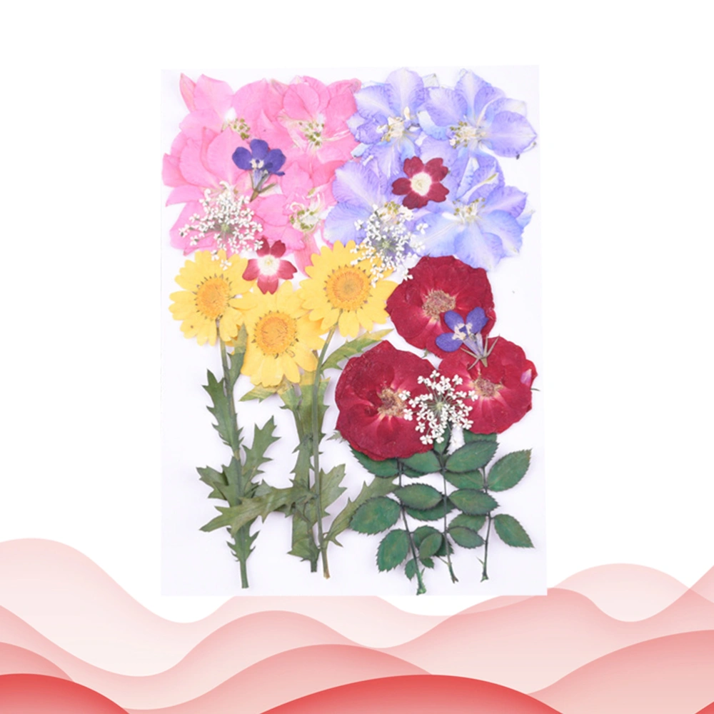 1 Sheet of 24pcs Pressed Flower Facial Stickers Natural Real Dried Flowers DIY Face Sticker Floral Decals