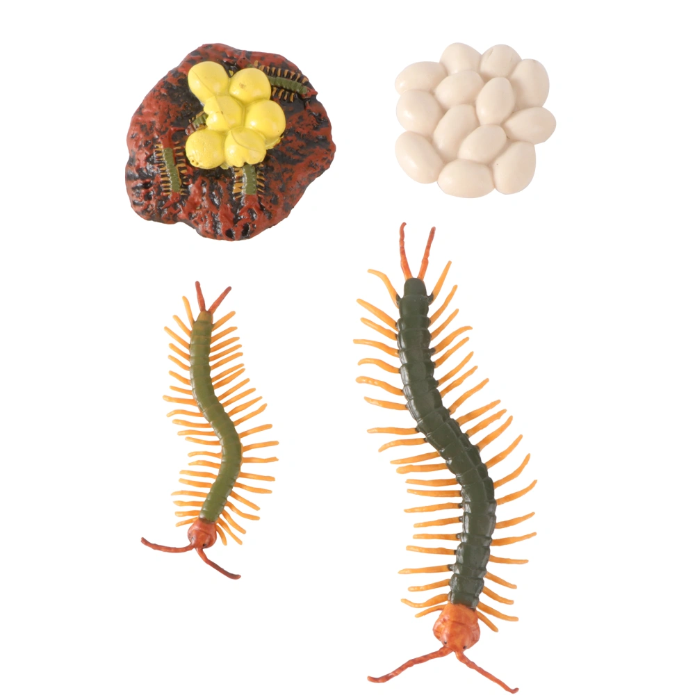 1 Set Insect Model Toy Set Centipede Toy Set Life Cycle Demonstration Toy