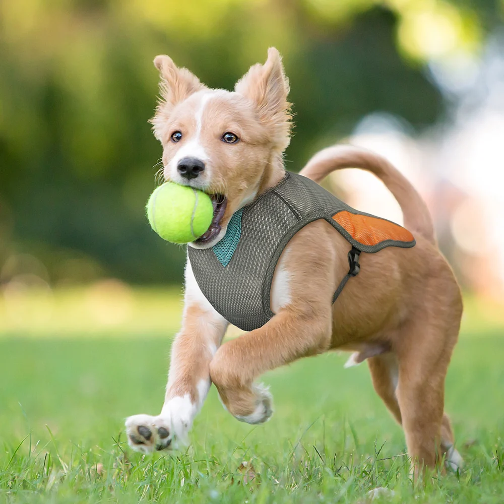 POPETPOP Summer Pet Cooling Breathable Cooler Vest Reflective Safety Dog Puppy Harness Size L (Orange)