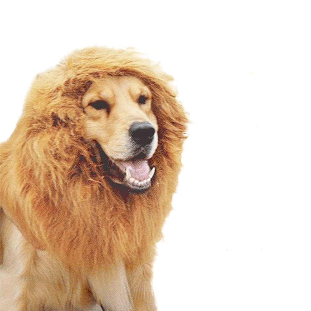 Pet Dog Dress-up Costume Lion Mane Wig Neckchief Collar for Halloween /Party /Festivals (Brown)