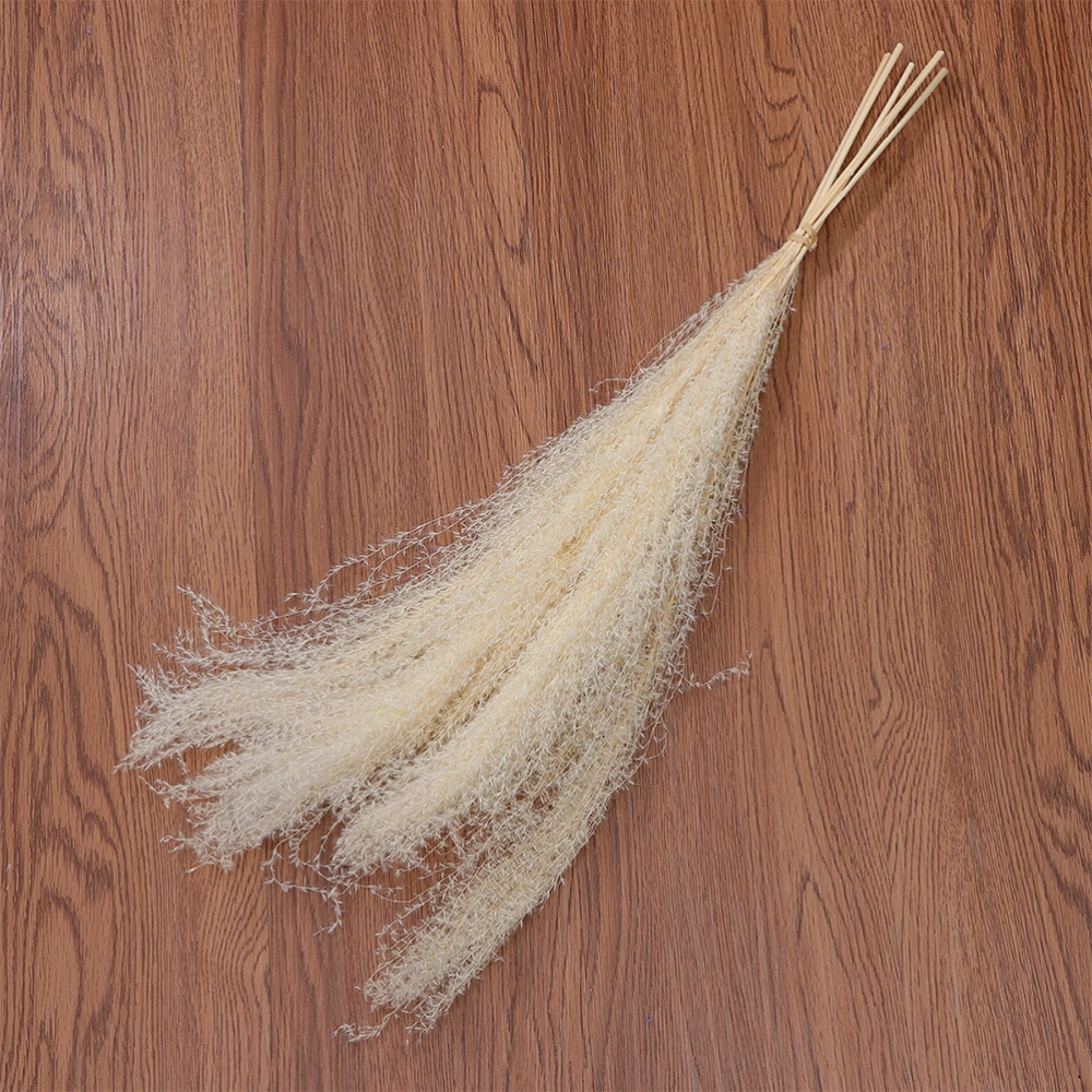 3Pcs Pastoral Style Dried Reed Bouquet Creative Dried Flowers Bunch for Home Office Wedding Decor (Rice White)