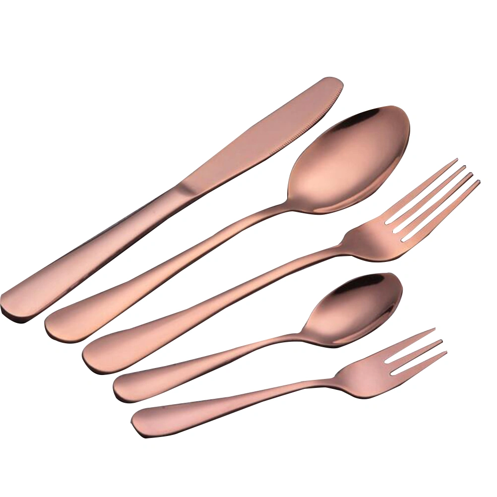 5 Pcs Flatware Silverware Set Stainless Steel Cutlery with Spoon and Fork (Rose Gold)