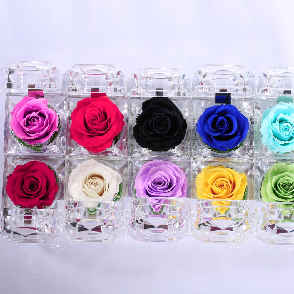 1Pcs Preserved Flower Eternity Rose Never Withered Rose Gift for Valentine's Day Birthday and Anniversary with Drawer Gift Box (Rosy)