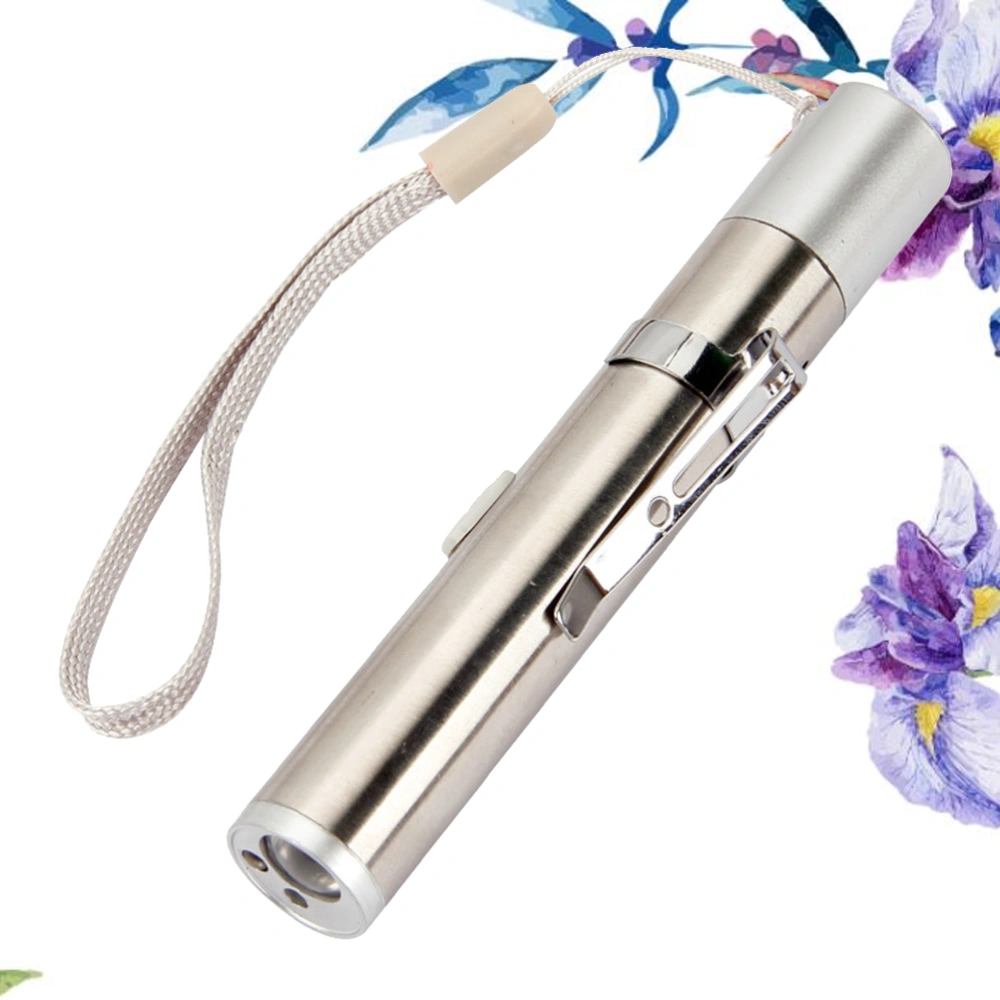 USB LED Stainless Steel Charging Pupil Flashlight  Counterfeit Lamp 3 In 1 Multi Function Flashlight(Silver)