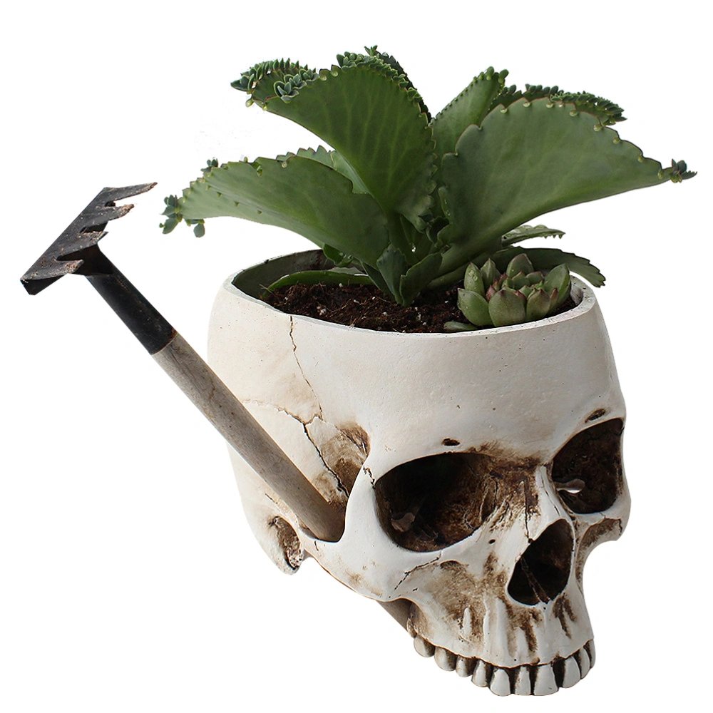 Home Resin Plant Pot Planter Skull Shaped Succulent Cactus Flower Pot Container Home Office Decoration (Cracked Style)