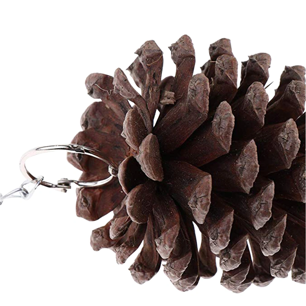 2Pcs Parrot Bird Hanging Toy Large Pine Cones Chewing Toy Parrot Cage Accessories Size M