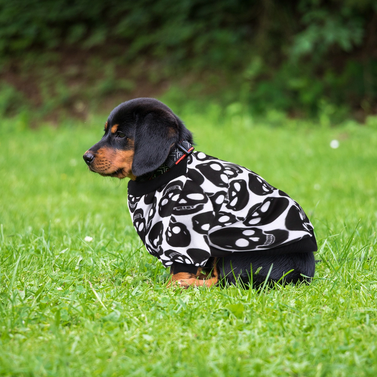 Fashion Halloween Warm Clothes Costume Unique Skeleton Hoodie for Puppy Dog