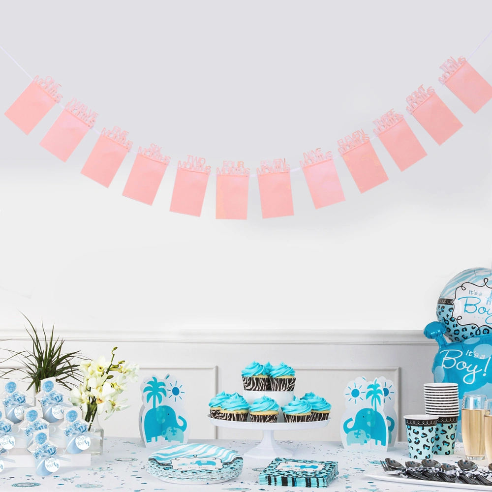 One-year-old Birthday Monthly Photos Bunting Garland Pearl Paper Banner Decorative Props Party Supplies for Baby Infant (Pink)