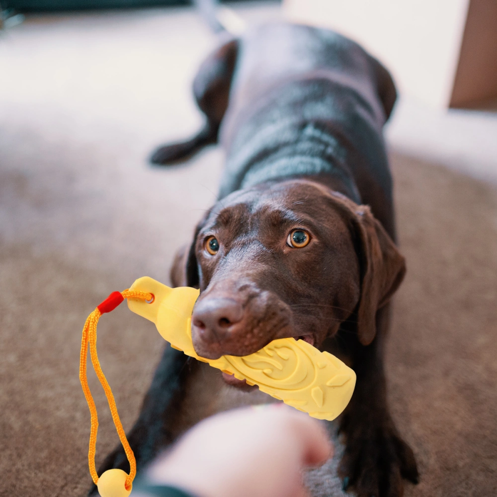 Dog Chew Toy with Rope Dog Chew Toy Stick Puppy Cleaning Chewing Molar Toy