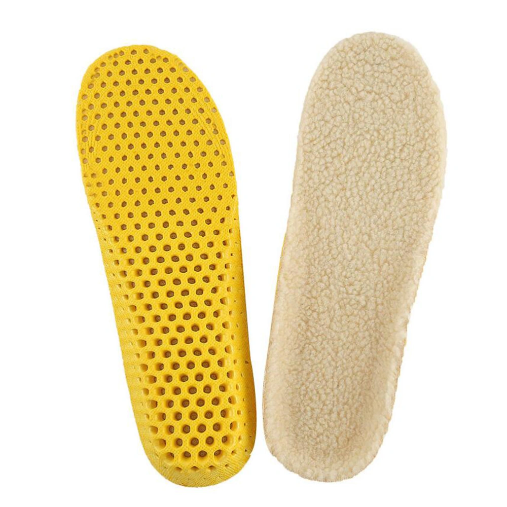 2 Pair of Winter Imitation Wool Insoles Thickened Warm Breathable Plush Shoe Pads - Size L