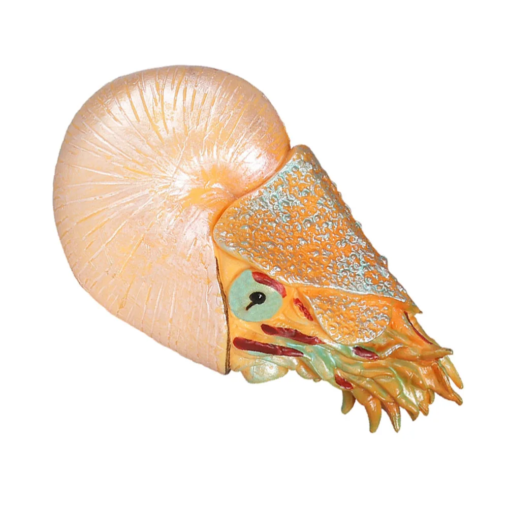 Plastic Nautilus Model Simulated Marine Animal Model Sea Animals Statue Ornament