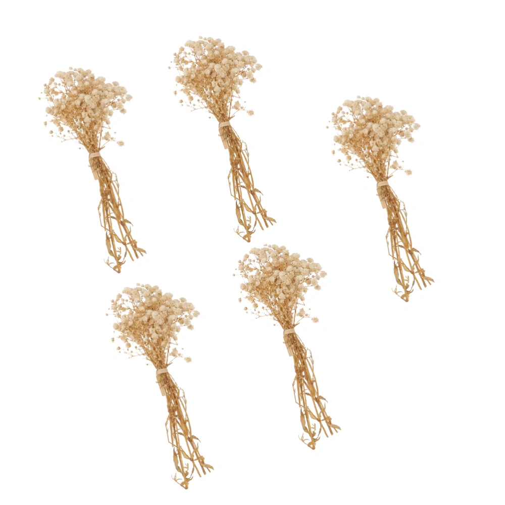 5Pcs Dried Gypsophila Flower Bundles Home Wedding Party Flower Bouquet Adorns