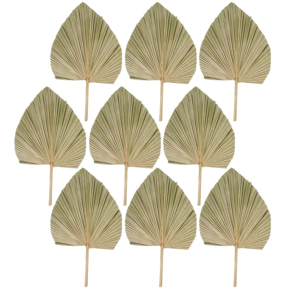 9Pcs Natural Palm Leaf Decor Art Dry Plant Leaf Arrangement Ornament for Wedding