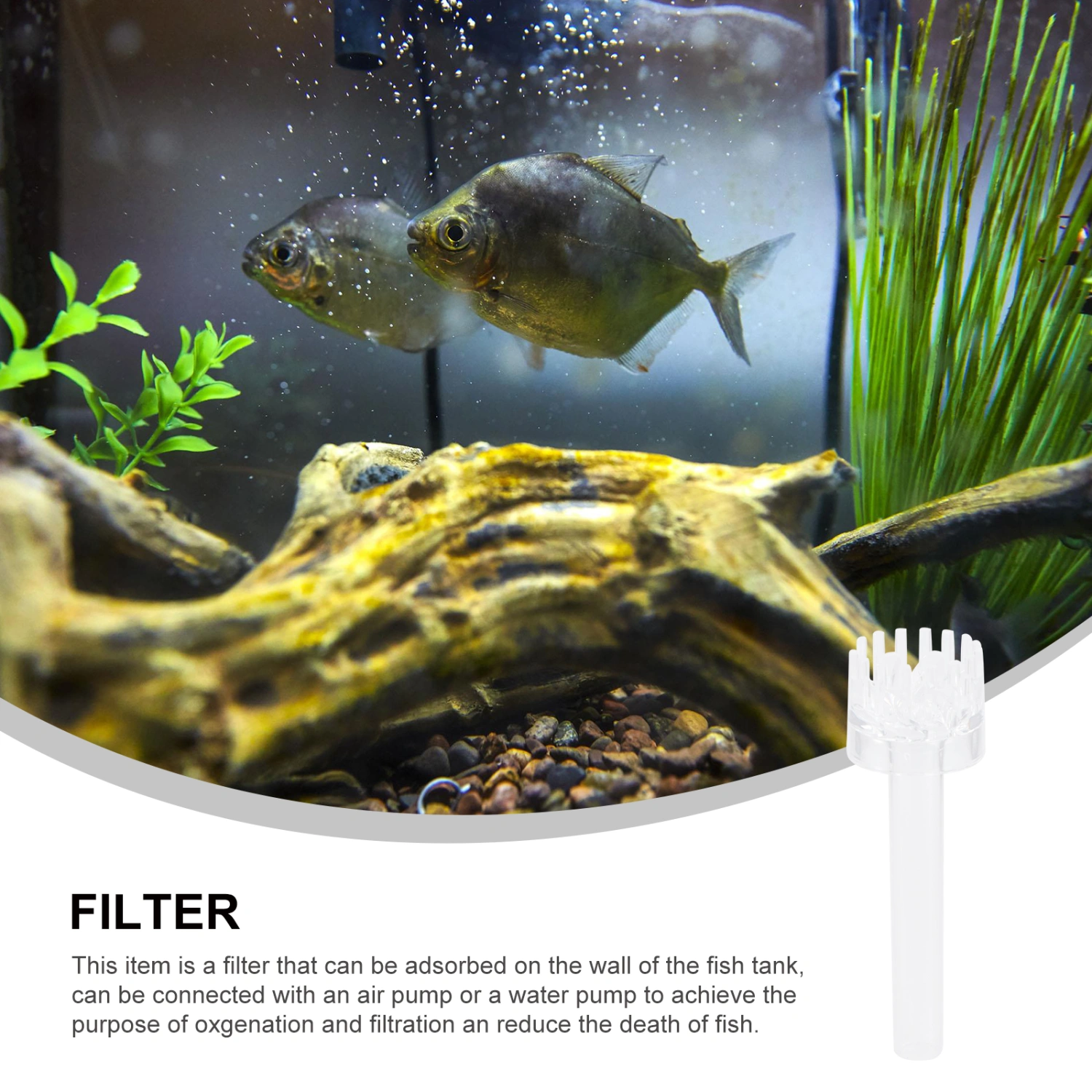Aquarium Supplies Degreasing Film Float Inlet and Outlet Pipe Portable Degreasing Film Basket for Shrimp Nano Fish Tank Aquarium